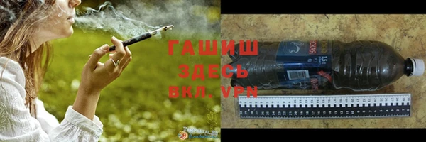 шишки Лабытнанги