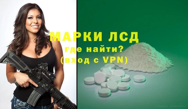 шишки Лабытнанги