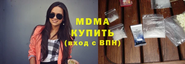 шишки Лабытнанги