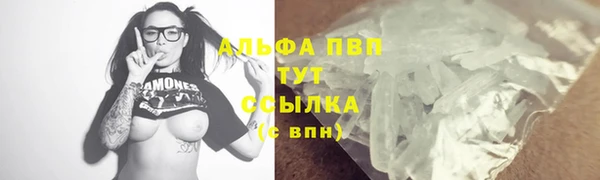 шишки Лабытнанги