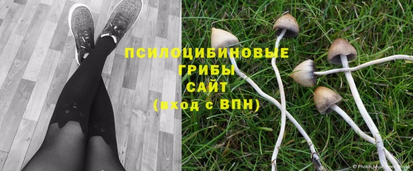 не бодяженный Ладушкин