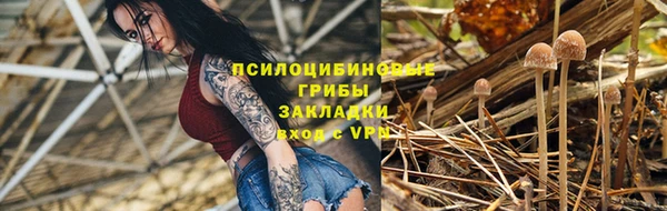 не бодяженный Ладушкин