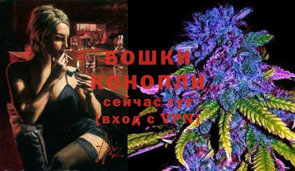шишки Лабытнанги