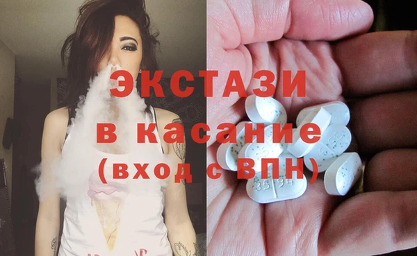 шишки Лабытнанги