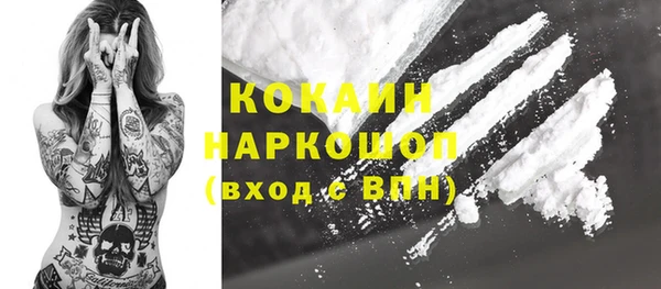 шишки Лабытнанги